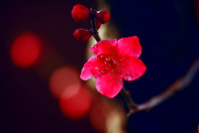 �� �� �T �� ��