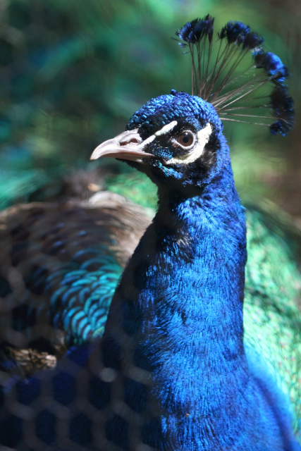 �� �� �T �� ��