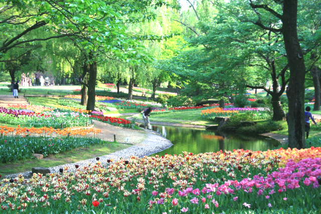 �� �� �T �� ��