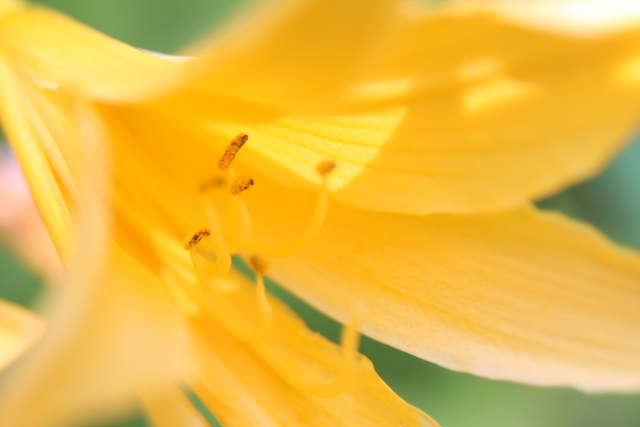 �� �� �T �� ��