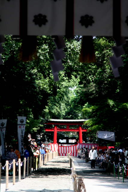 �� �� �T �� ��