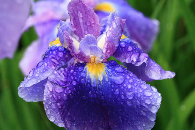 �� �� �T �� ��