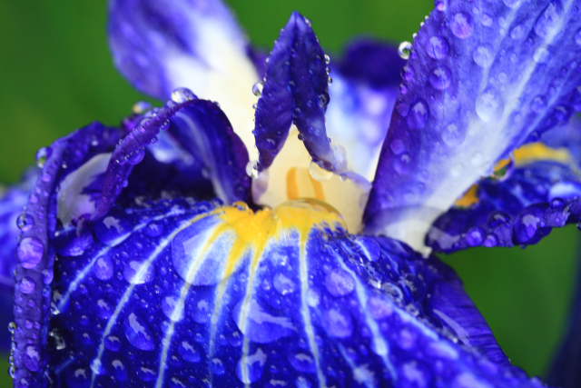 �� �� �T �� ��