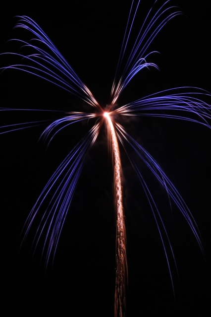 �� �� �T �� ��