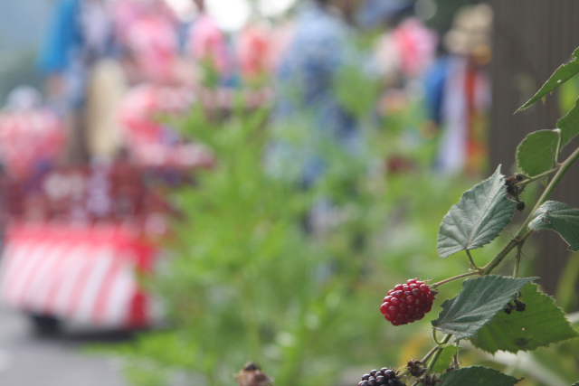 �� �� �T �� ��