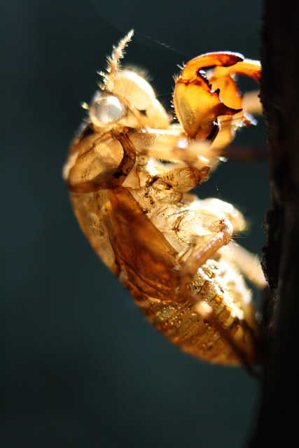 �� �� �T �� ��