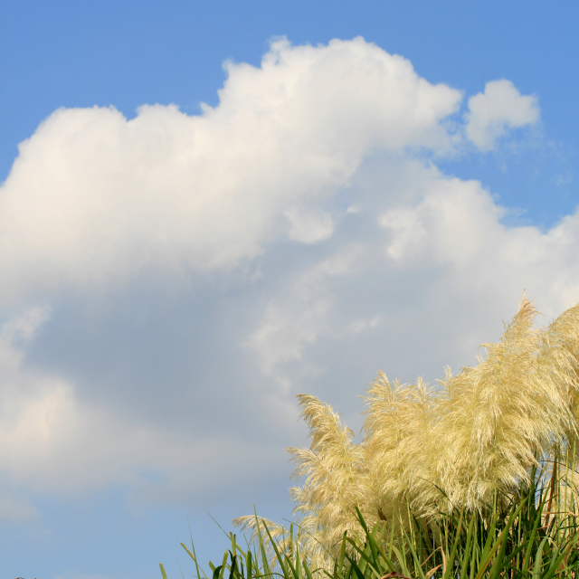 �� �� �T �� ��