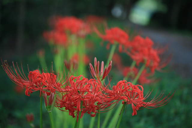 �� �� �T �� ��