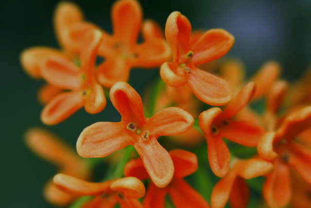 �� �� �T �� ��