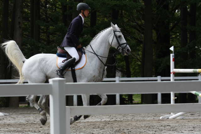 �� �� �T �� ��