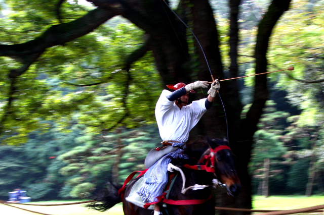 �� �� �T �� ��