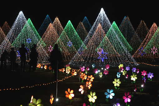 �� �� �T �� ��