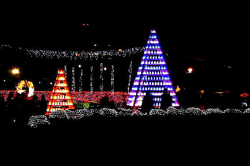 �� �� �T �� ��