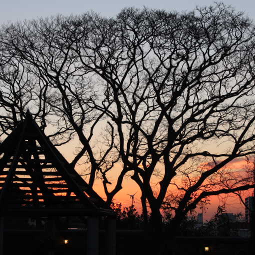 �� �� �T �� ��