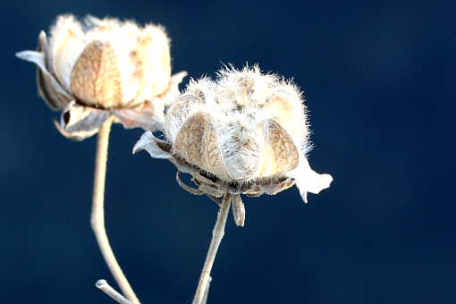 �� �� �T �� ��