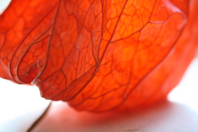 �� �� �T �� ��