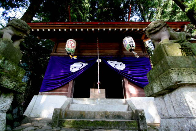 �� �� �T �� ��