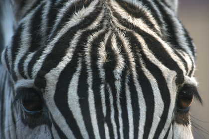 �� �� �T �� ��