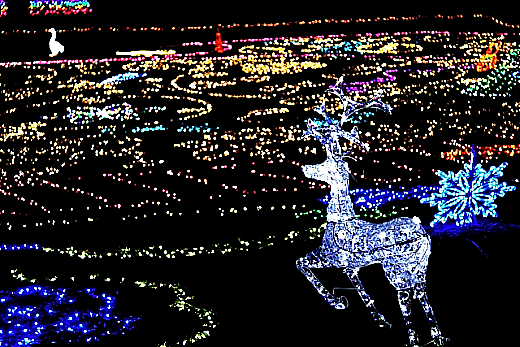 �w�肢�x�i�� �� �T �� ���j