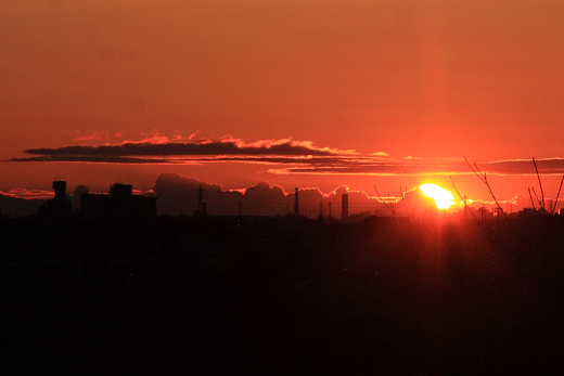 �w�����x�i�� �� �T �� ���j