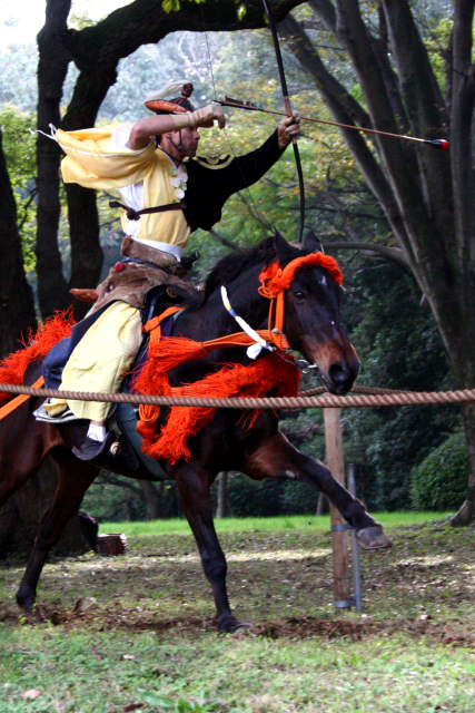 �� �� �T �� ��