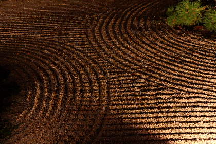 �� �� �T �� ��