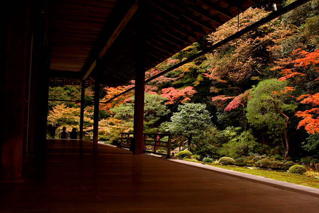 �� �� �T �� ��