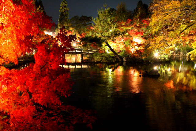 �� �� �T �� ��