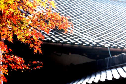 �� �� �T �� ��