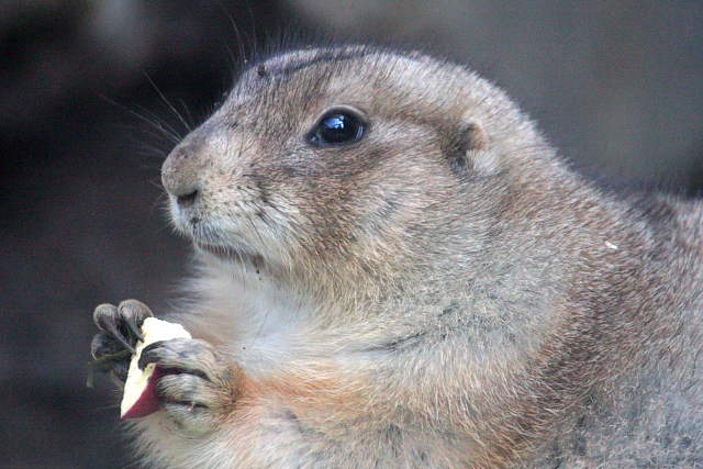 �� �� �T �� ��