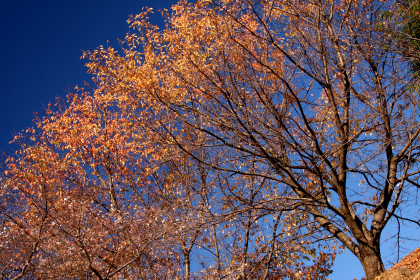 �� �� �T �� ��