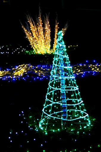 �� �� �T �� ��