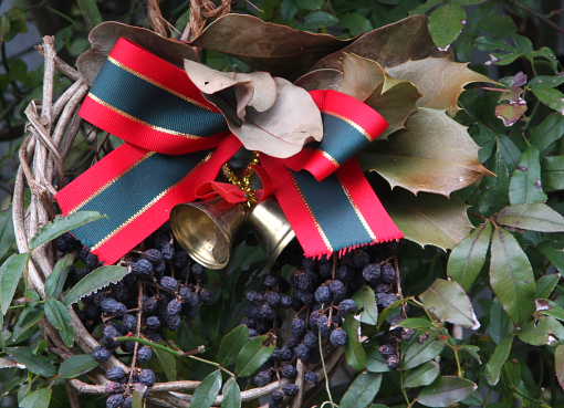 �� �� �T �� ��