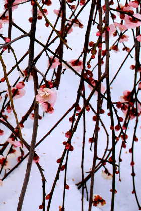 �� �� �T �� ��