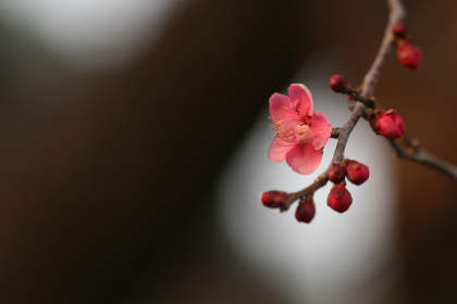 �� �� �T �� ��