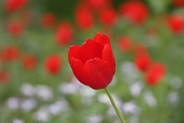 �� �� �T �� ��