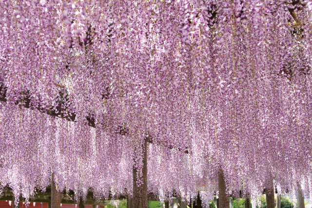 �� �� �T �� ��