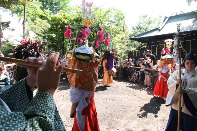 �� �� �T �� ��