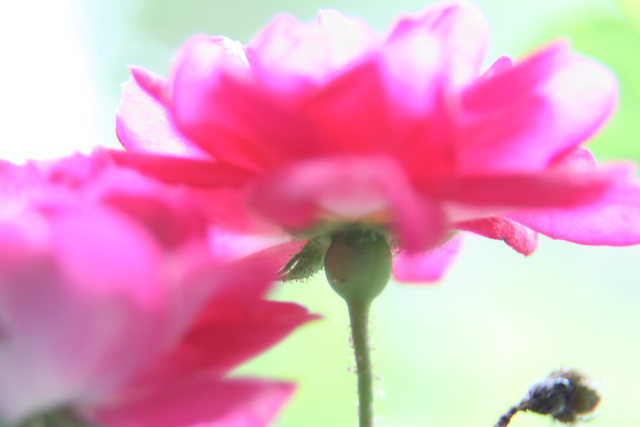 �� �� �T �� ��