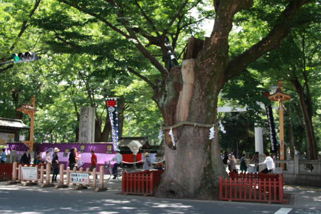 �� �� �T �� ��