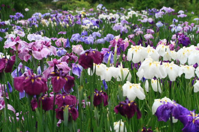 �� �� �T �� ��